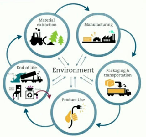 the life cycle of a product