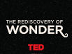 Logo TED 2011