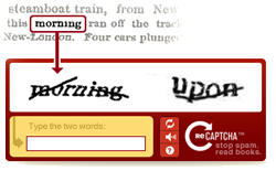 preview of recaptcha