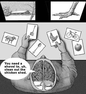 comic about the brain
