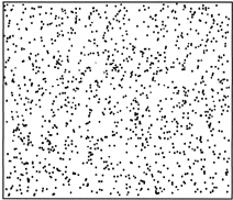 image tirée de http://www.biology-online.org/articles/stomatal_patterning_angiosperms/figures.html