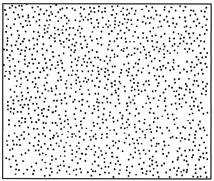 image tirée de http://www.biology-online.org/articles/stomatal_patterning_angiosperms/figures.html